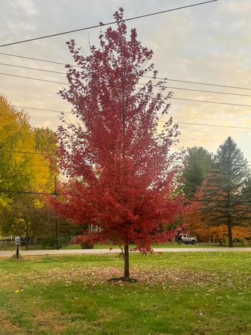 1597 Old Staunton Road 1597 Old Staunton Road, Troy, OH 45373