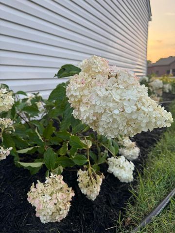 1597 Old Staunton Road 1597 Old Staunton Road, Troy, OH 45373