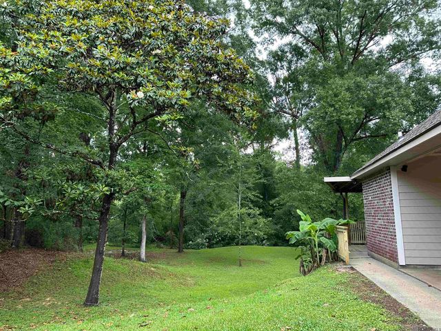 6542 Christopher Ave, Greenwell Springs, LA 70739