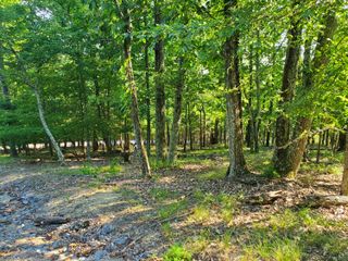 1324 Muskogee Drive, Mooresburg, TN 37811