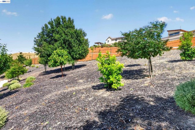 200 cliffcastle, San Ramon, CA 94583