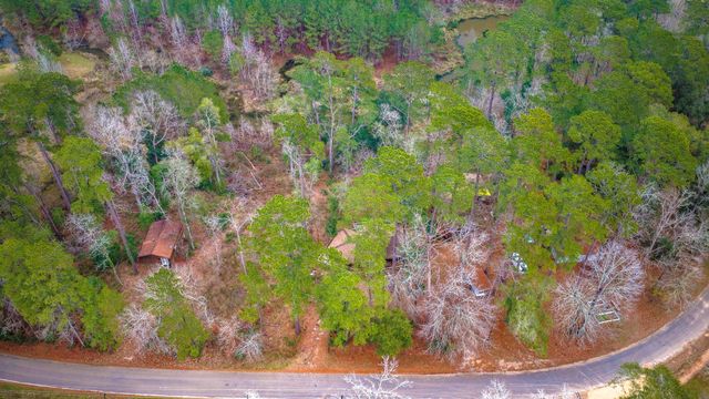 1542 Hillbilly Heaven, Livingston, TX 77351