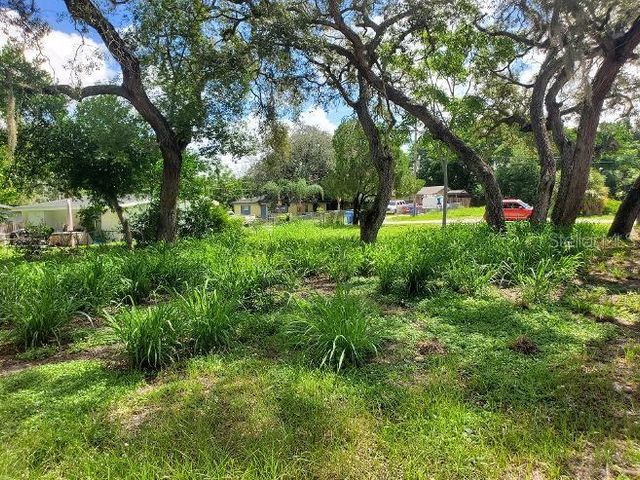 1922 VIRGINIA AVENUE, Tarpon Springs, FL 34689