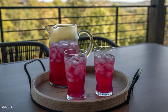 519 New Venture Way, Sevierville, TN 37876