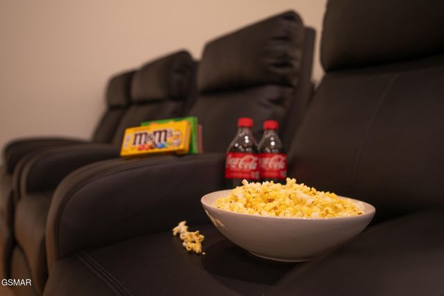 519 New Venture Way, Sevierville, TN 37876