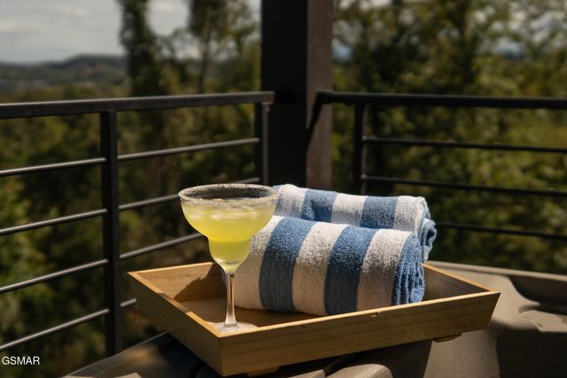 519 New Venture Way, Sevierville, TN 37876