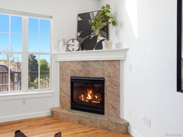 1699 N Downing Street 408, Denver, CO 80218