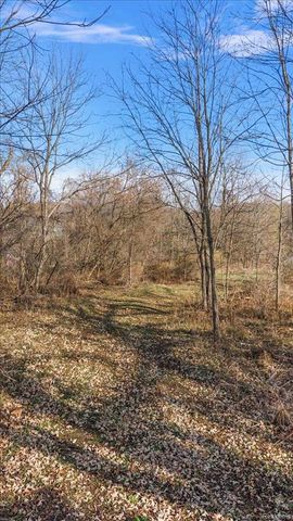 00 Collins, Oakland, MI 48306