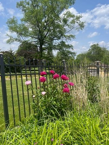 13210 S 85th Avenue, Palos Park, IL 60464