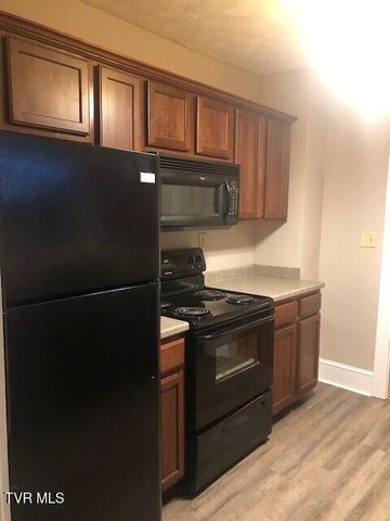 102 Woodland Drive, Johnson City, TN 37601