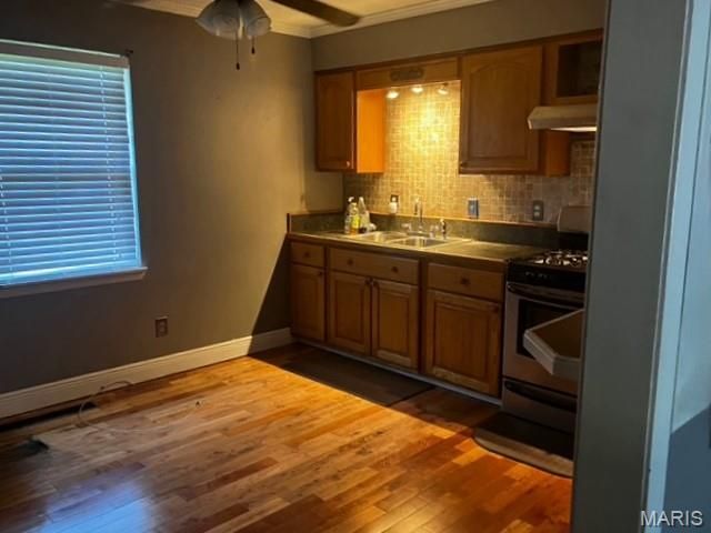 203 E Peck Street, Malden, MO 63863