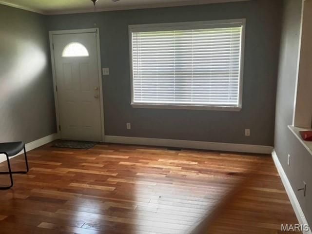 203 E Peck Street, Malden, MO 63863