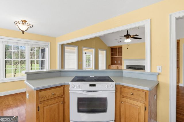 23 Clyde Ellen Drive, Tiger, GA 30576