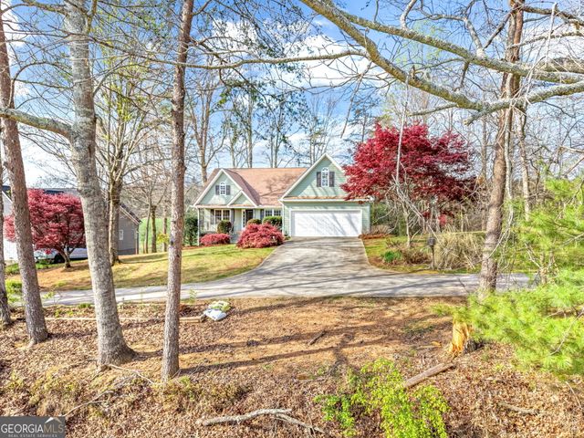 23 Clyde Ellen Drive, Tiger, GA 30576