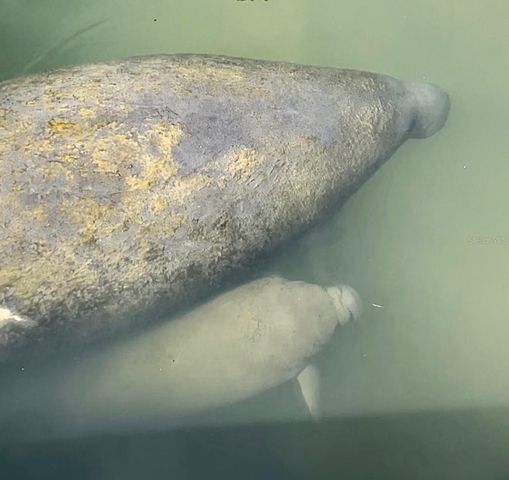 3784 42ND AVENUE S, St Petersburg, FL 33711