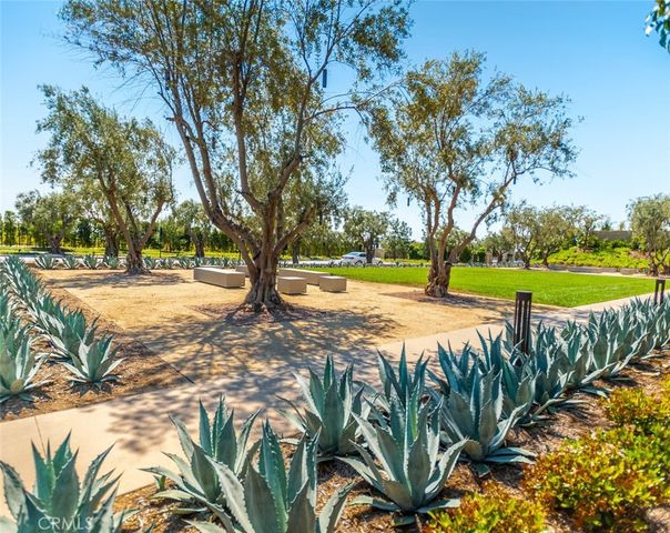 53 Chasma, Irvine, CA 92618