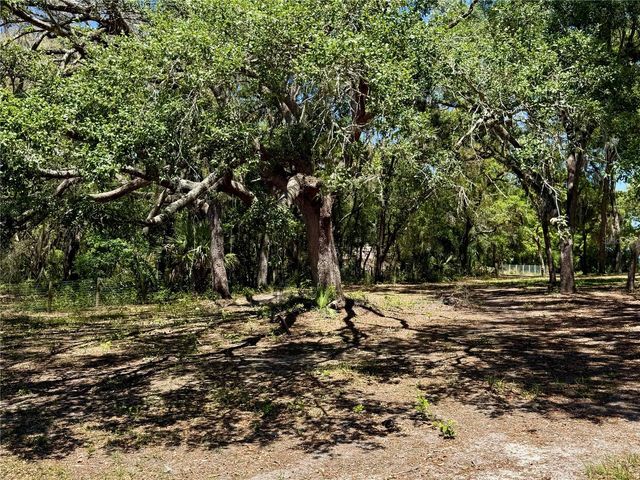 9711 SE HIGHWAY 464C, Ocklawaha, FL 32179