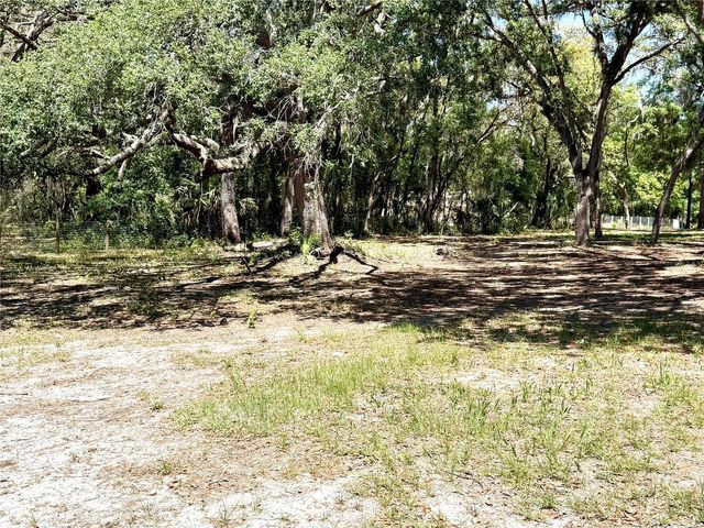 9711 SE HIGHWAY 464C, Ocklawaha, FL 32179