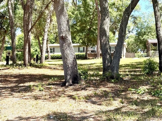 9711 SE HIGHWAY 464C, Ocklawaha, FL 32179
