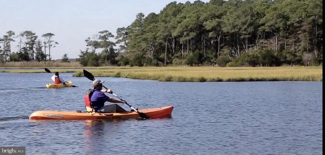 31534 WINTERBERRY PKWY, Selbyville, DE 19975