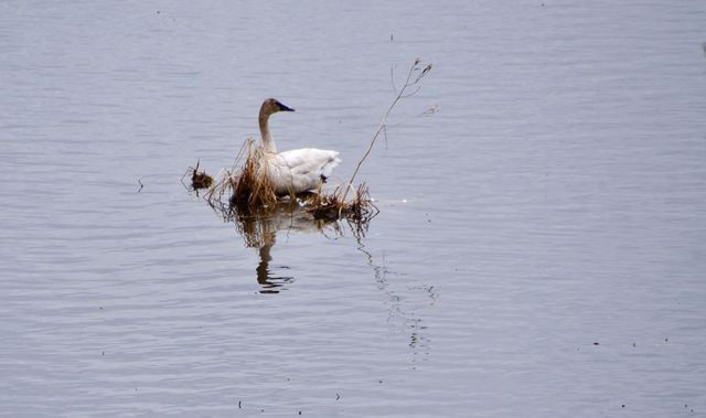 1415 223rd Avenue, Ogilvie, MN 56358