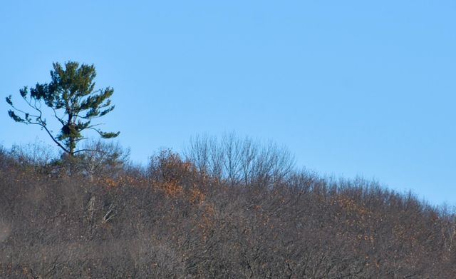 1415 223rd Avenue, Ogilvie, MN 56358