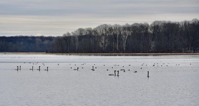 1415 223rd Avenue, Ogilvie, MN 56358