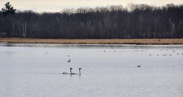 1415 223rd Avenue, Ogilvie, MN 56358