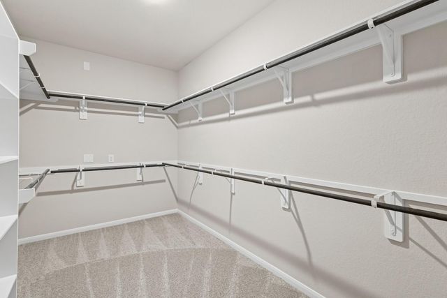 21919 Laurel Cherry Court, Waller, TX 77484