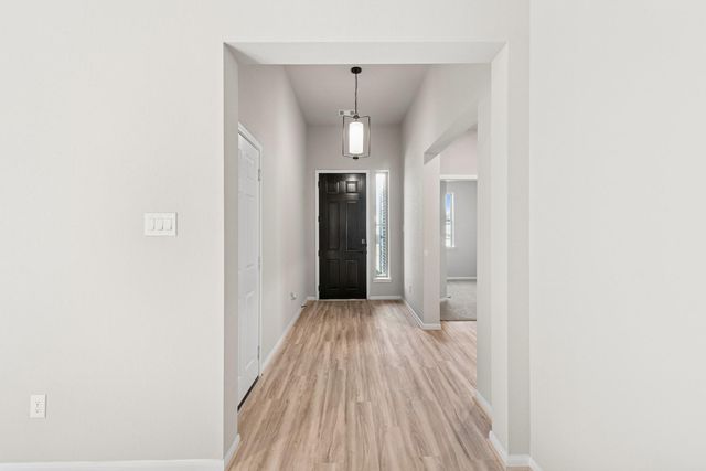 21919 Laurel Cherry Court, Waller, TX 77484