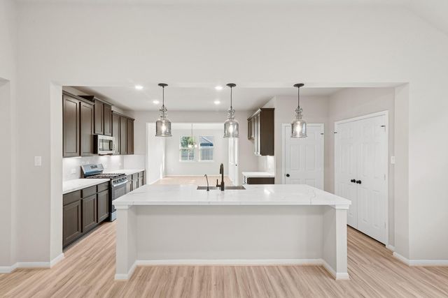 21919 Laurel Cherry Court, Waller, TX 77484