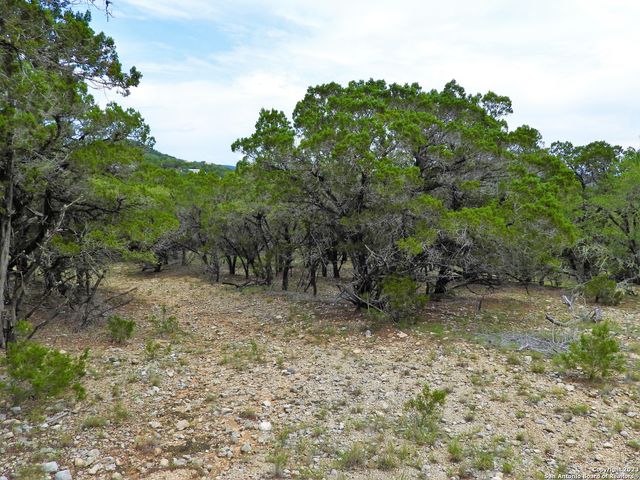 TBD Park Road 37, Lakehills, TX 78063