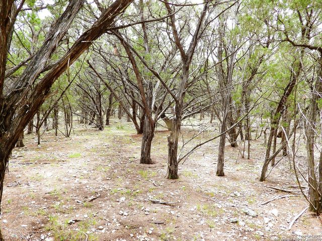 TBD Park Road 37, Lakehills, TX 78063