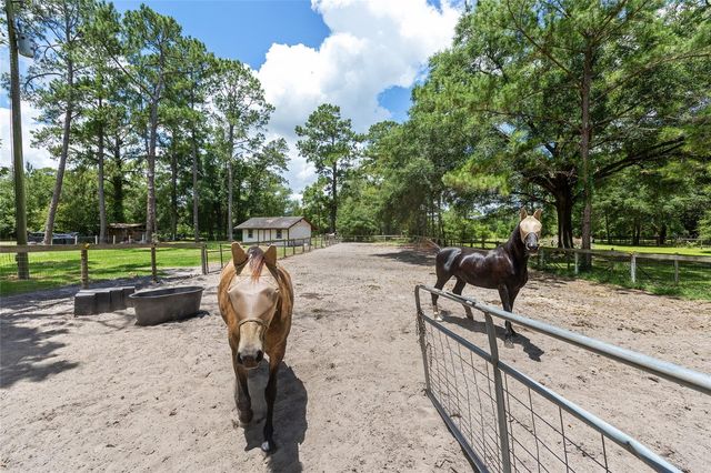 16353 NW 130 STREET, Williston, FL 32696