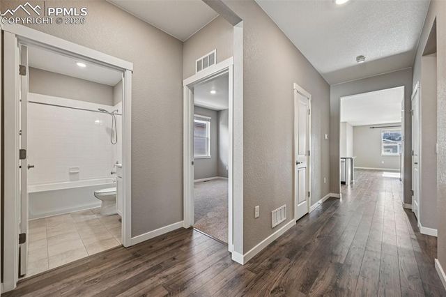 2159 Indian Balsam Drive, Monument, CO 80132