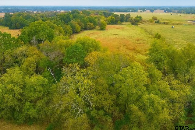 TBD 20.83 +- VZCR 1118, Grand Saline, TX 75140
