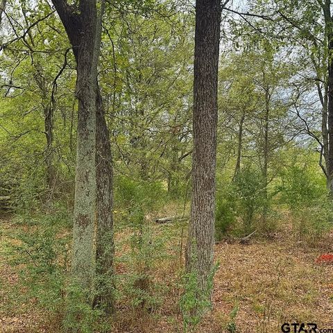 TBD 20.83 +- VZCR 1118, Grand Saline, TX 75140