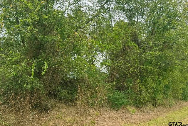 TBD 20.83 +- VZCR 1118, Grand Saline, TX 75140