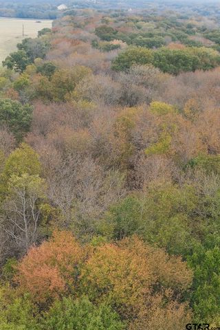 TBD 20.83 +- VZCR 1118, Grand Saline, TX 75140