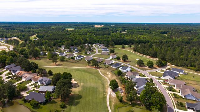 1299 Deercreek Drive, Manning, SC 29102