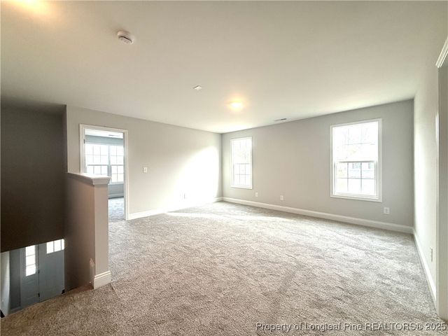 228 Watercress Lane, Raeford, NC 28376