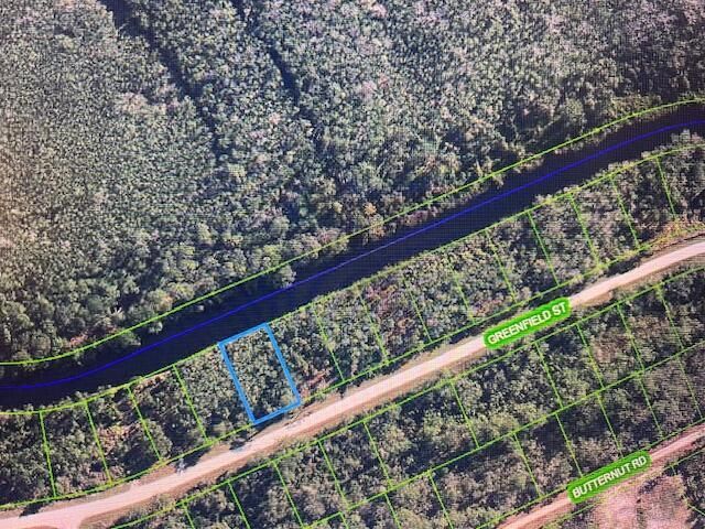 1131 Greenfield Street, Lake Placid, FL 33852