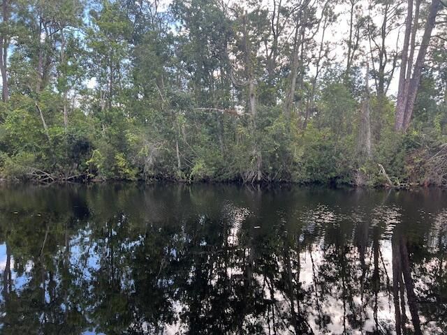 1131 Greenfield Street, Lake Placid, FL 33852