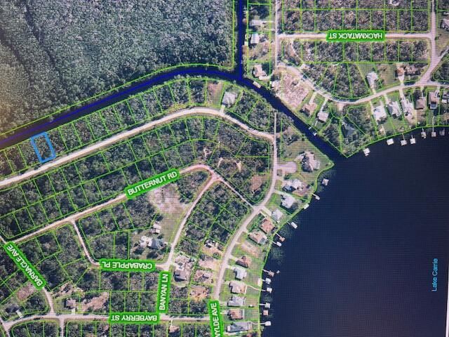 1131 Greenfield Street, Lake Placid, FL 33852