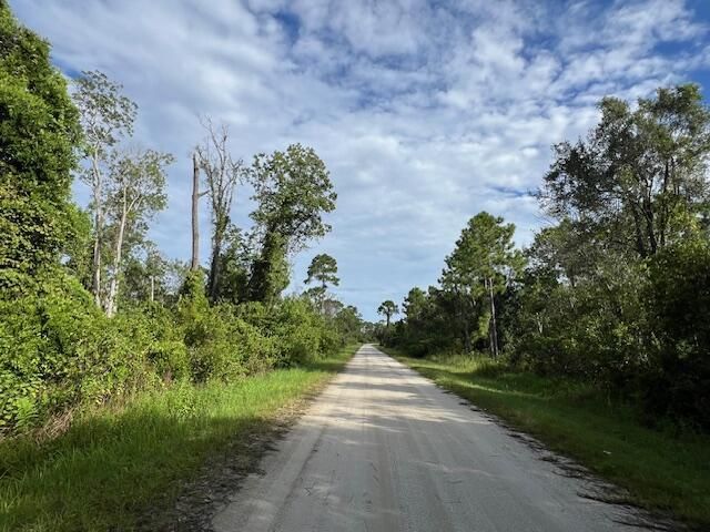 1131 Greenfield Street, Lake Placid, FL 33852