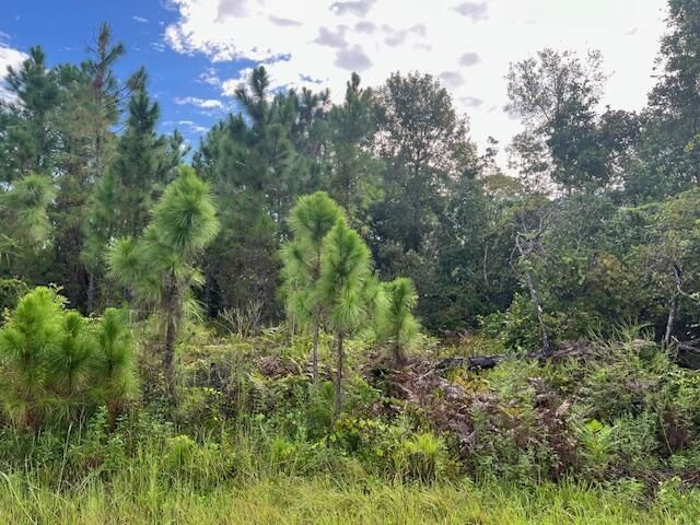 1131 Greenfield Street, Lake Placid, FL 33852