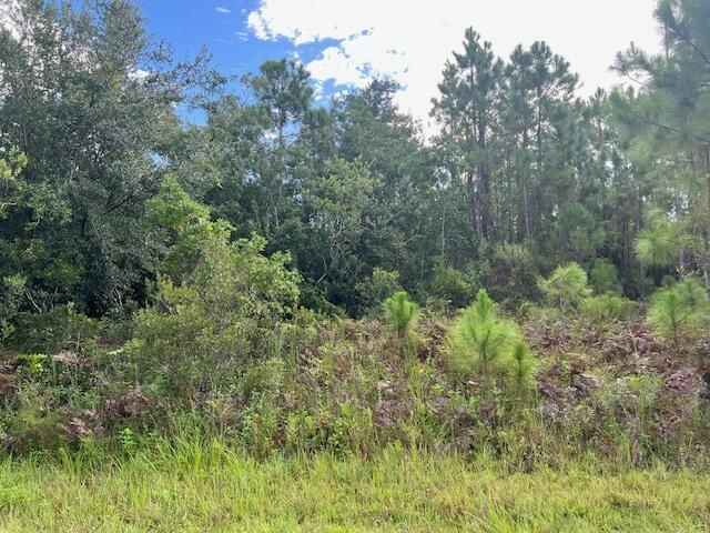 1131 Greenfield Street, Lake Placid, FL 33852