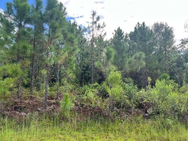 1131 Greenfield Street, Lake Placid, FL 33852