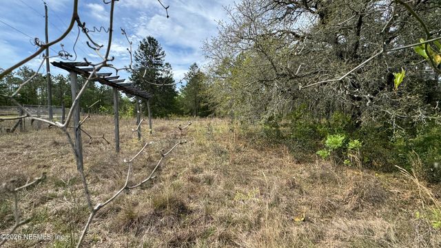 00 STATE RD 20, Interlachen, FL 32148