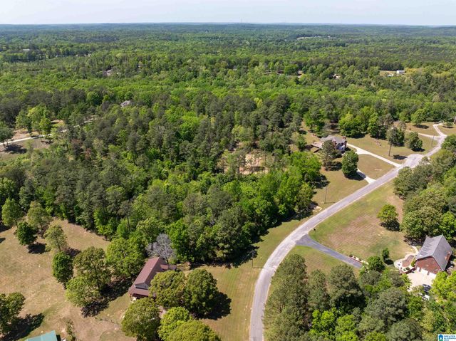 409 PINEVIEW DRIVE, West Blocton, AL 35184